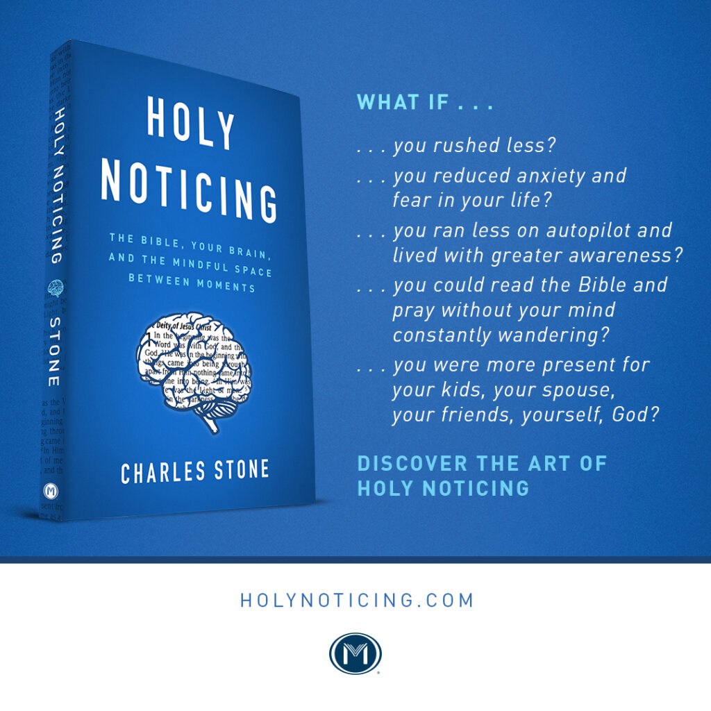 Holy Noticing book ad