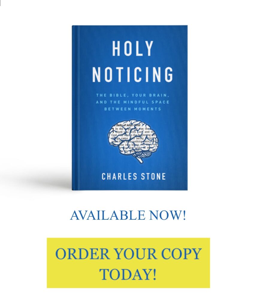 Holy Noticing book available now!
